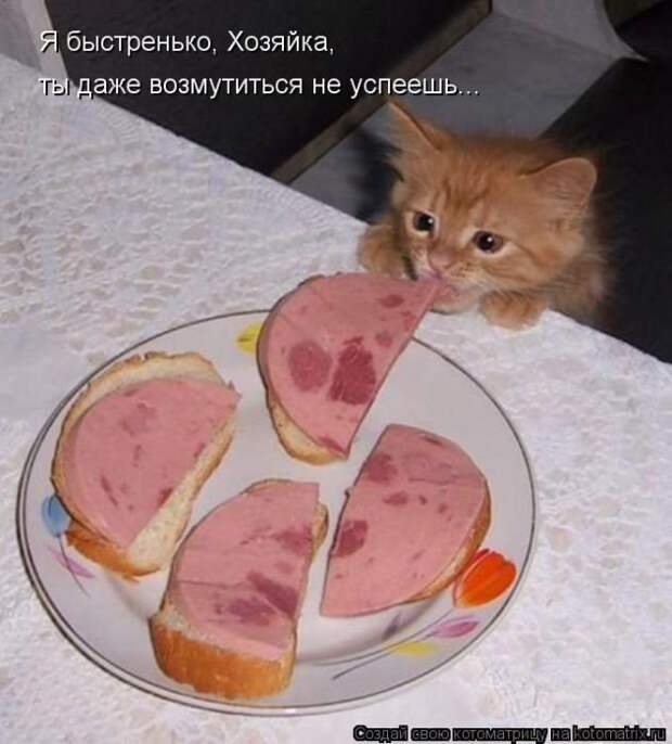 Позитивные зверушки. Весёленькие фото Позитивные зверушки. Весёленькие фото