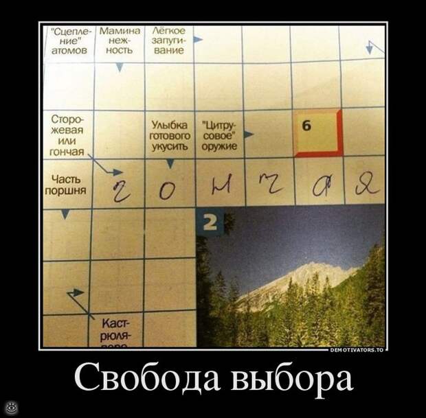 Не сдавайся никогда! 29