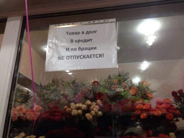 Уморительные тексты