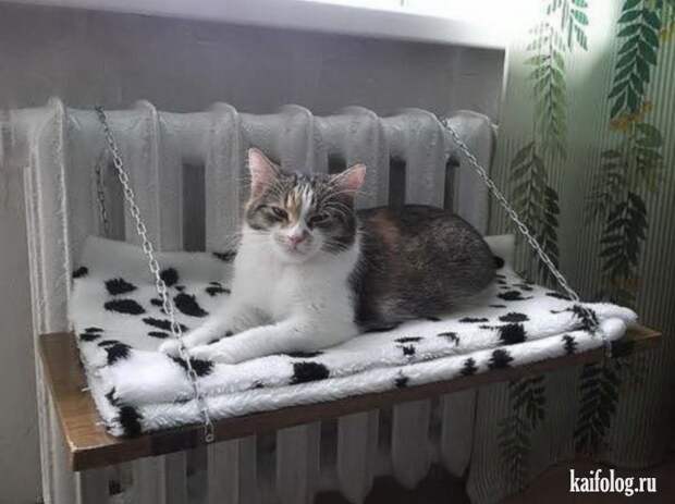 Фото приколы про Россию. Подборка - 270 (85 фото)