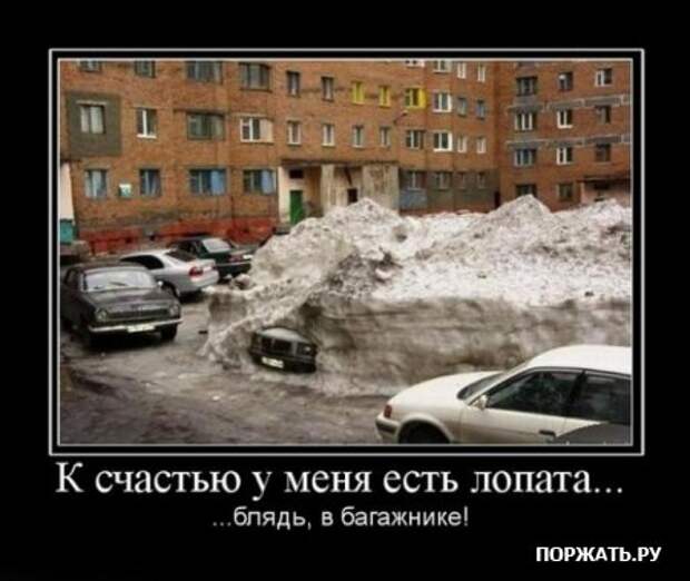 Демотиваторы фото и прикольный текст к ним.