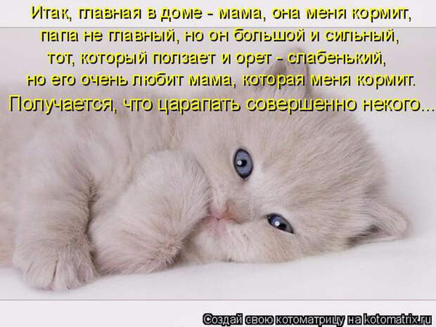 1429823354_29 (700x525, 310Kb)