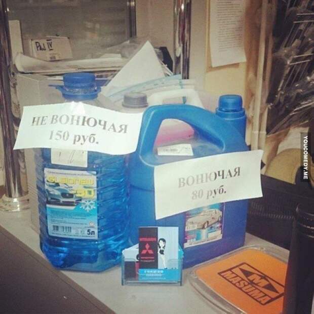 Правдивые надписи надпись, правда, смешно