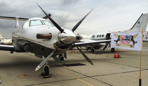 shelter-dog-airplane-transport-wings-of-rescue-yehuda-netanel-10