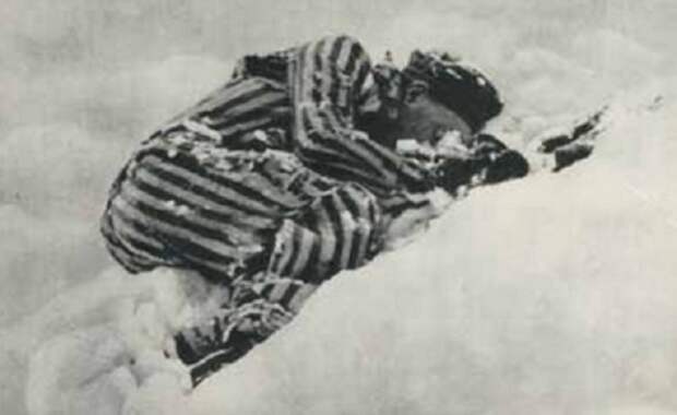 Русские Не Сдаются Русские Не Сдаются