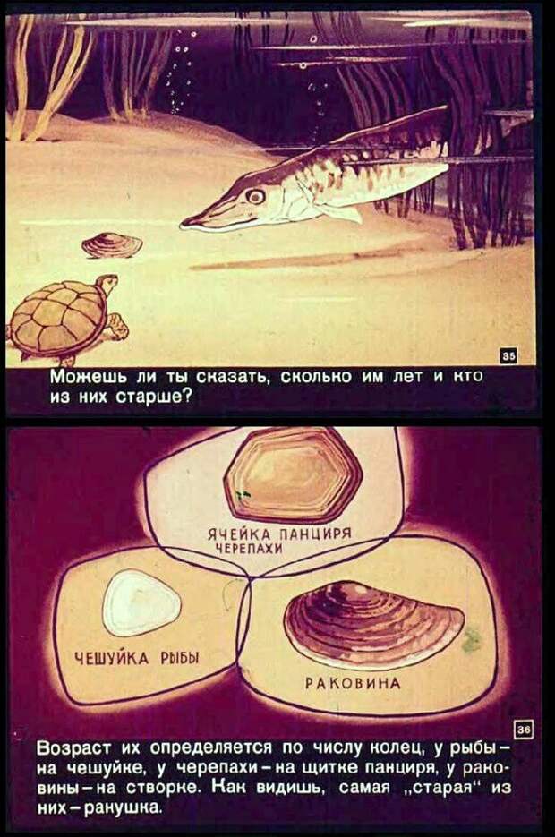 Географические загадки. СССР 1962 год Географические загадки, ссср