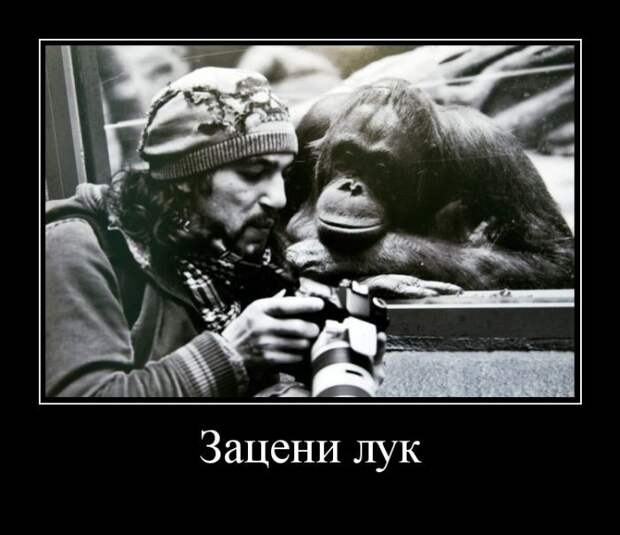 19 лучших демотиваторов о хобби демотиватор, хобби