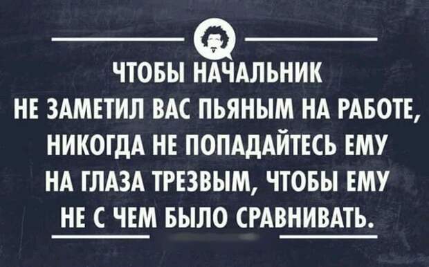 Классные цитаты дня