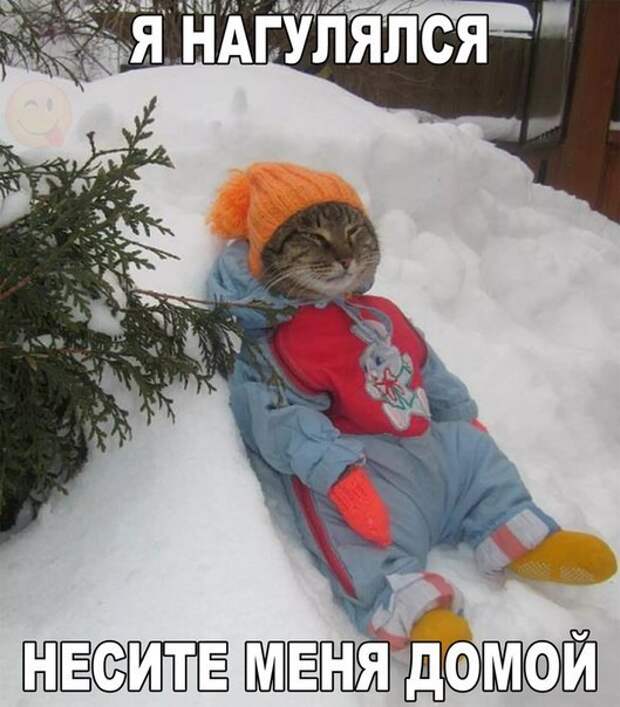 Картинки, юмор, приколы
