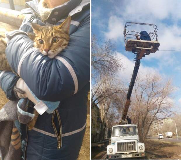 http://goodnewsanimal.ru/_nw/68/s18131956.jpg
