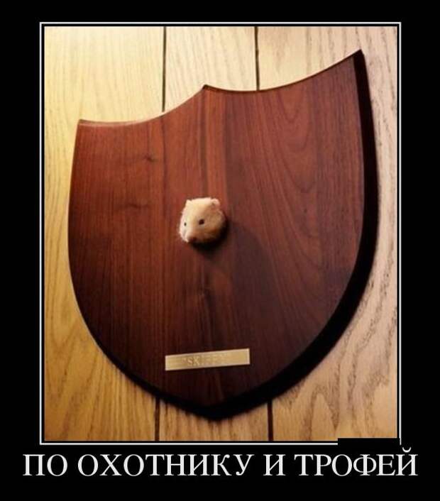 Демотиваторы (30 фото) Демотиваторы (30 фото)