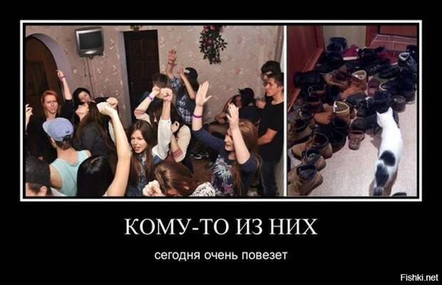 Подборка демотиваторов демотиваторы, прикол, юмор