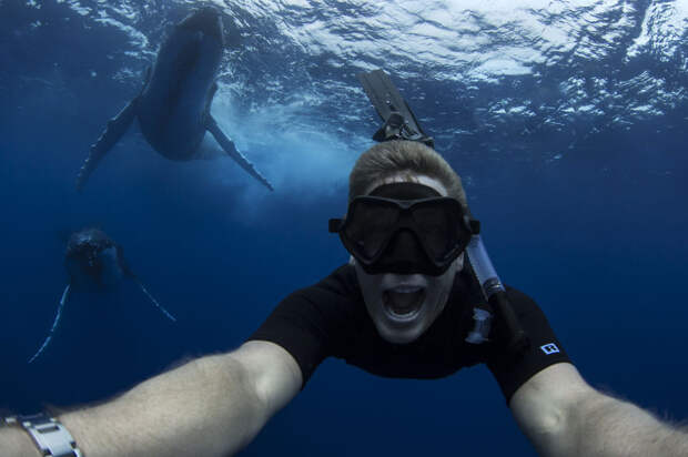 Селфи кит, океан, фотография