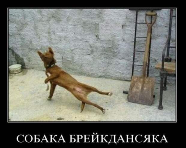 Демотиваторы ржачные.