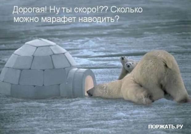 Ржачные картинки животных, смешные надписи.