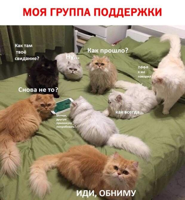 Подборка картинок (20 фото)