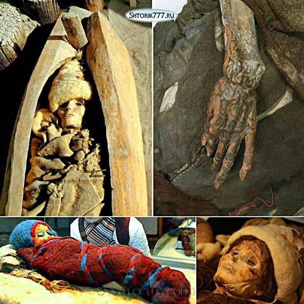 Таримские мумии, история