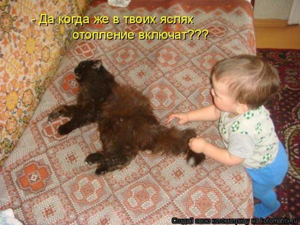 Мысли вслух :)