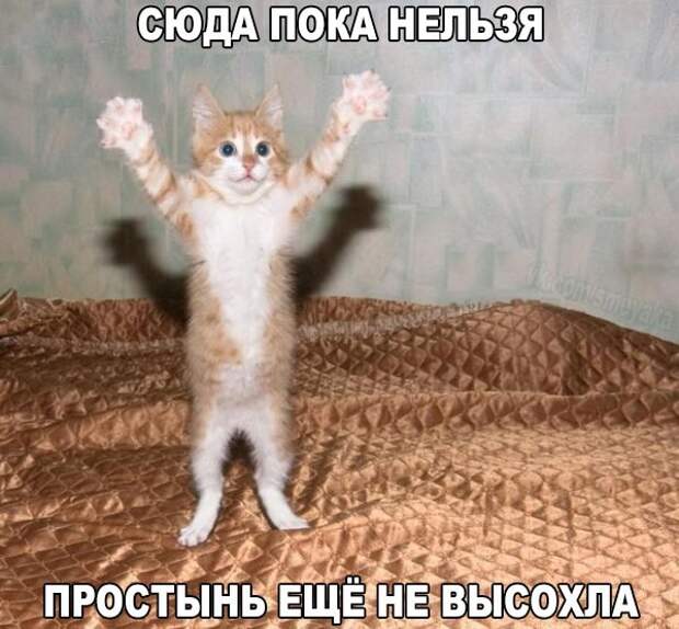 Смешные картинки с надписями прикол, юмор