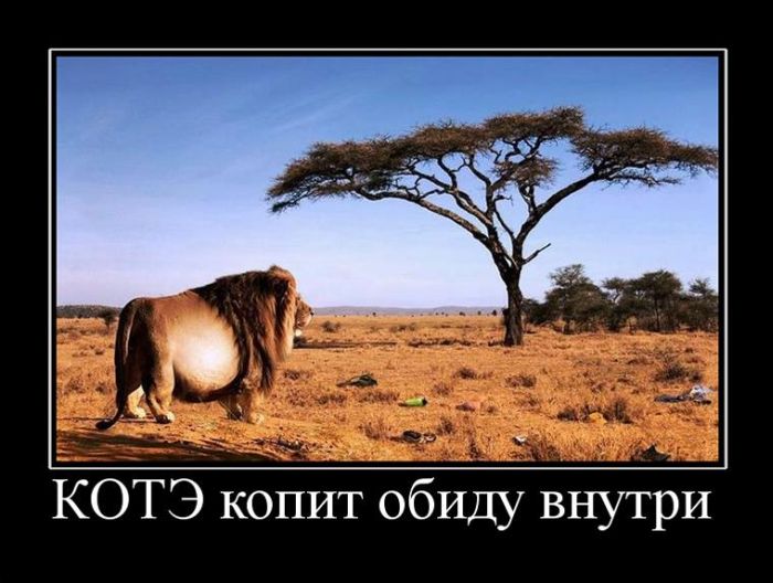 Демотиваторы №1106 (30 фото)