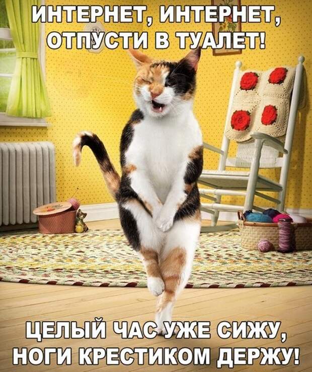 Картинки, юмор, приколы
