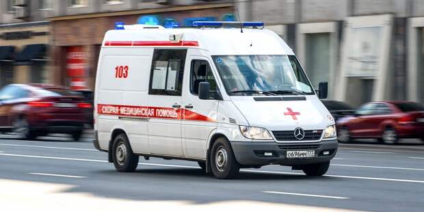 Фото: mos.ru