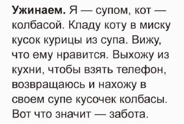 15 искрометных и очень жизненных шуток для прекрасного настроения!