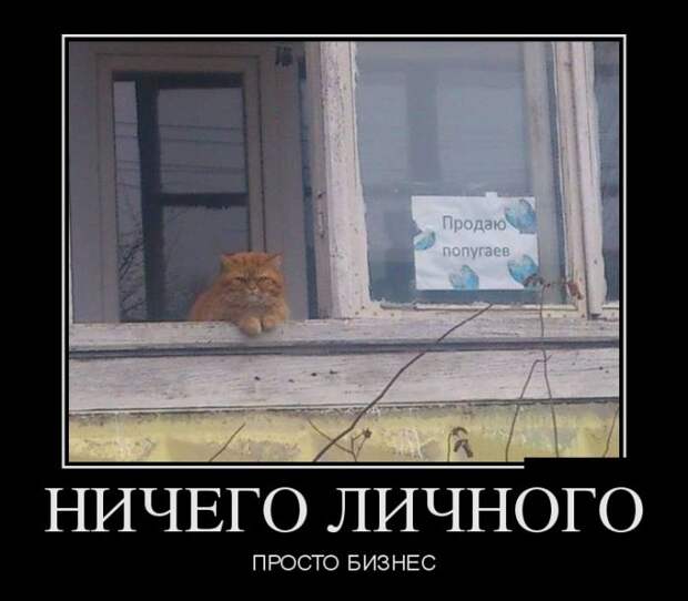 Демотиваторы (30 фото)