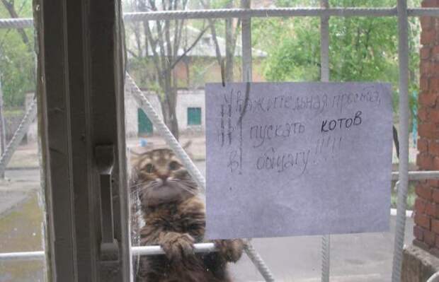Прикольные надписи, объявления
