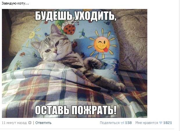 Картинки, юмор, приколы