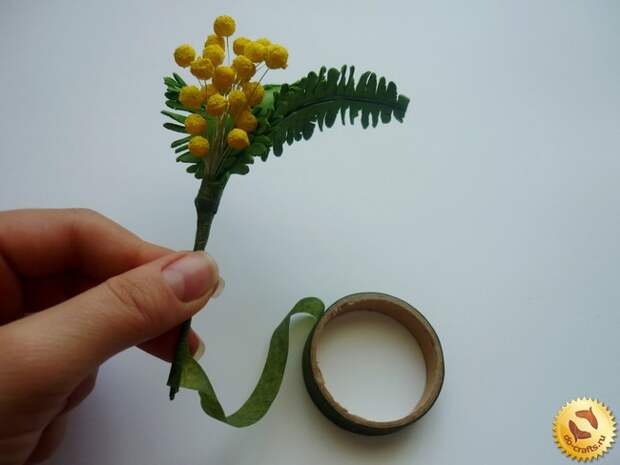 mimoza-iz-foamirana 9