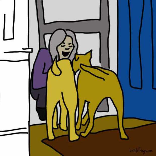 10 способов которыми собака говорит что любит вас