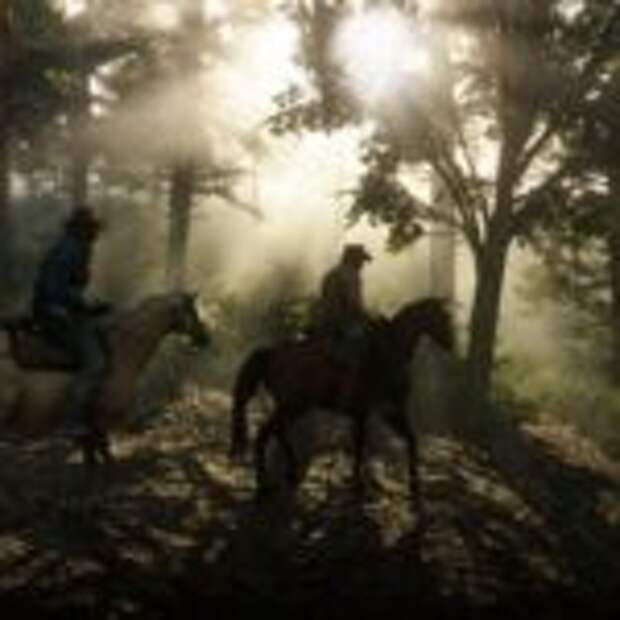 Что нравится в Red Dead Online  