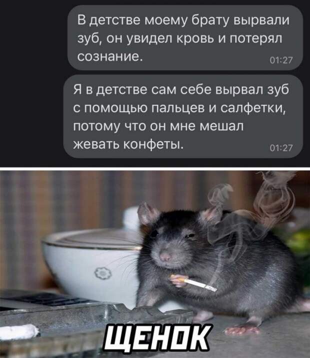 Скрины из соцсетей