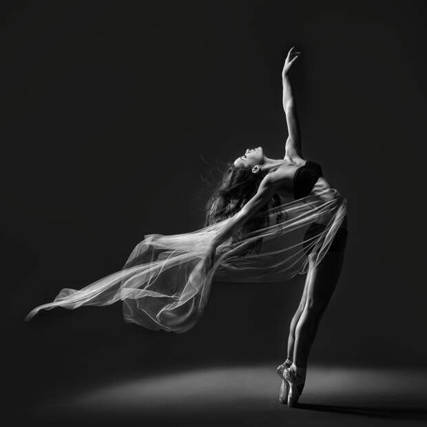 20 фотографий о том, что балерины бесподобны 20 фотографий о том, что балерины бесподобны балерина, балет, фото