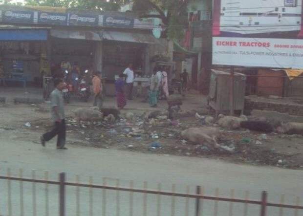 real_india_07