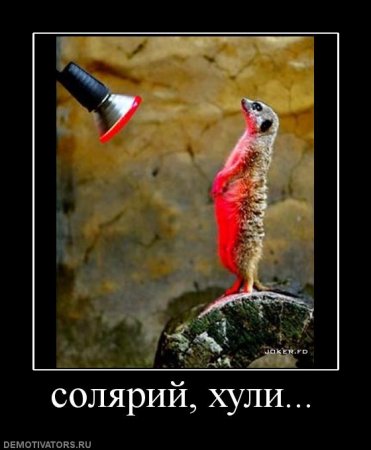 Демотиваторы, подборка свежих ржачных.