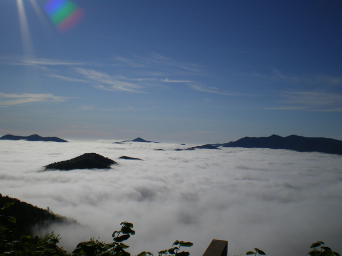 5 (700x525, 254Kb)
