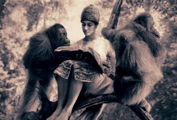 Животные и человек глазами одного фотографа животные, искусство, факты, фотографии
