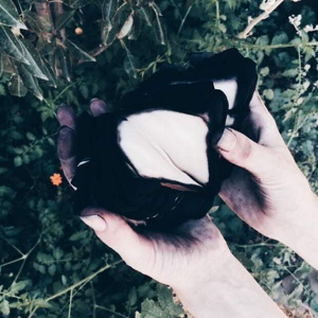 Окраска желудем и гвоздями (Diy)