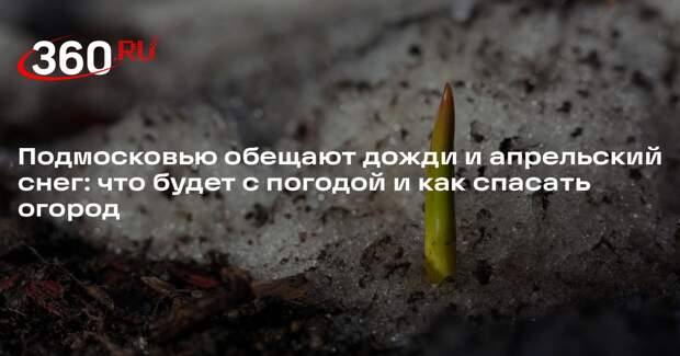 Метеоролог Позднякова рассказала, будет ли в Москве снег в апреле