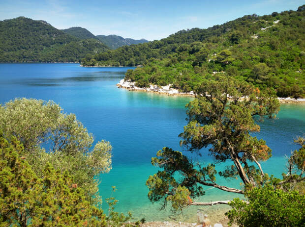 Mljet