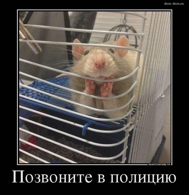 Демотиваторы демотиваторы