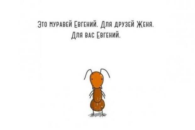 Картинки прикольные и настроение будет хорошим.