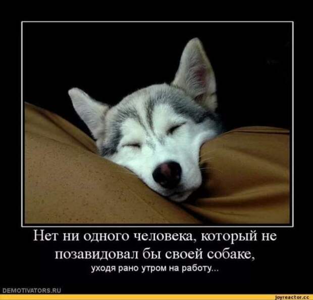 Смешные комментарии. Подборка chert-poberi-kom-chert-poberi-kom-21500317082020-11 картинка chert-poberi-kom-21500317082020-11