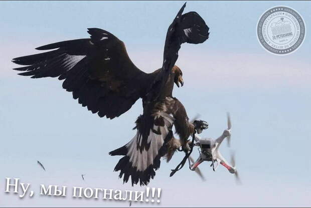 Ну, мы погнали!!!