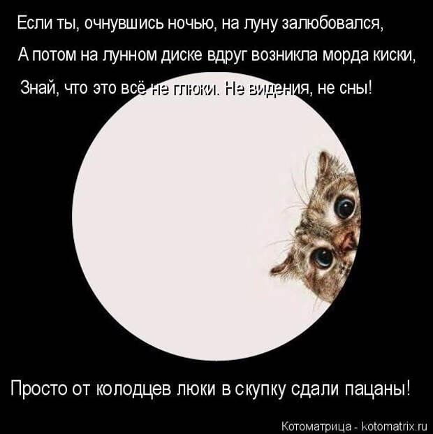 1429216169_23 (601x602, 127Kb)