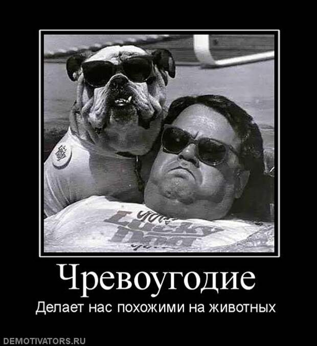 Демотиваторы