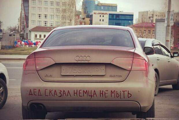 Картинки, юмор, приколы