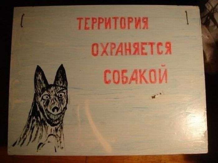 Забавная подбрка фотографий Забавная подбрка фотографий